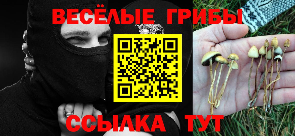 Псилоцибиновые грибы MAGIC MUSHROOMS  Псилоцибиновые грибы Psilocybine cubensis  Мыски  Вход с VPN 