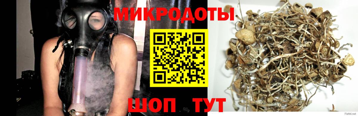 Псилоцибиновые грибы прущие грибы Мыски