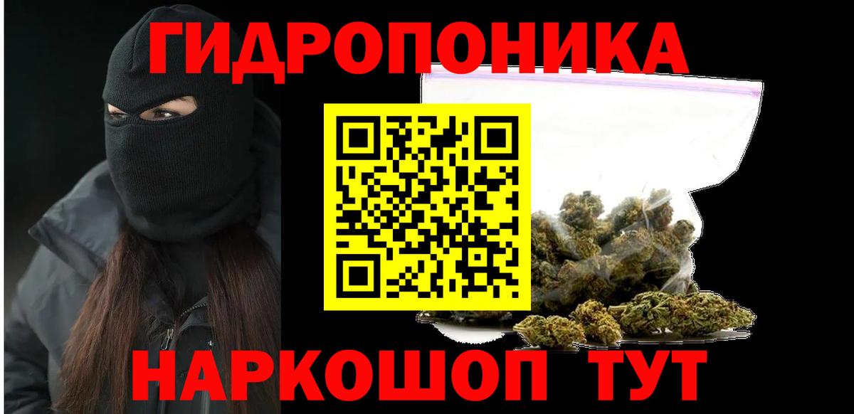 Шишки марихуана конопля  Шишки марихуана план  Вход с VPN  Шишки марихуана OG Kush  Мыски 